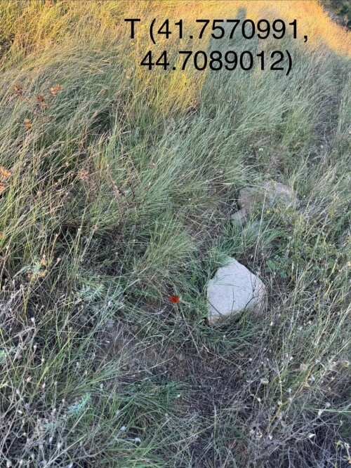 image-133e1cfd5b0470344.jpg